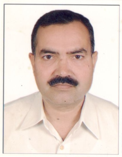 Prof. Rajesh Ranjan, Vice Chancellor